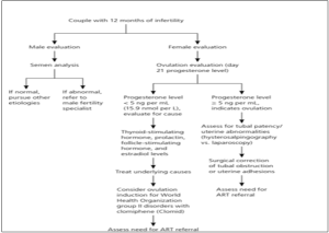 Andrology Assessment