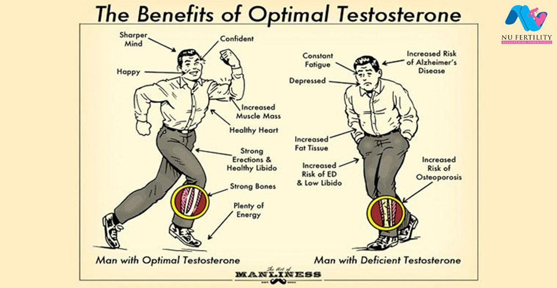 Benefits of Optimal Testosterone