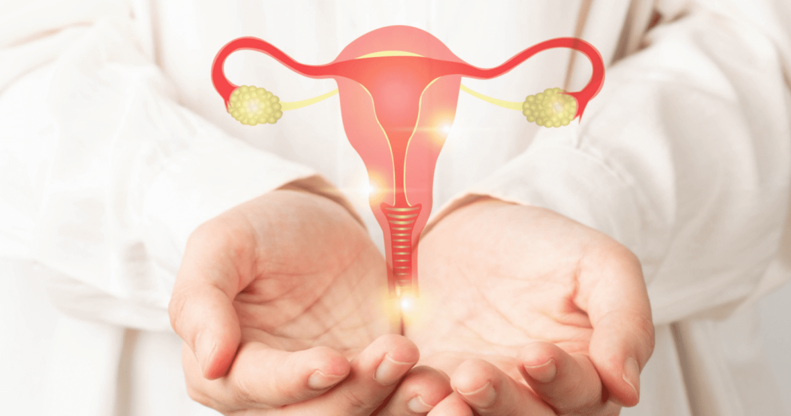 Anatomy of Healthy Uterus - NU Fertility