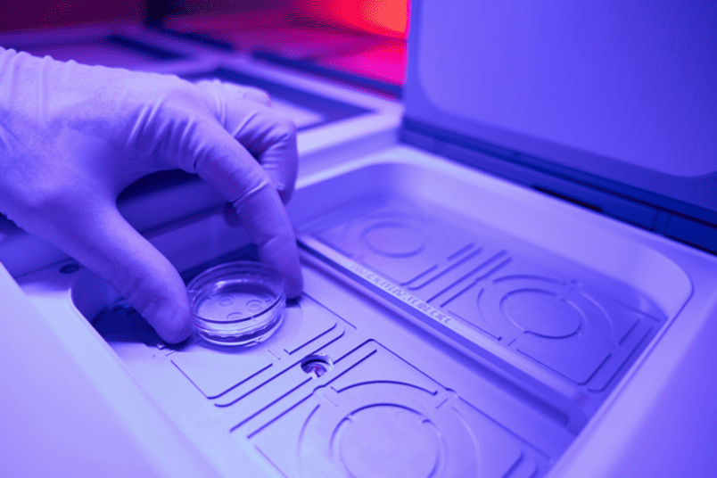 Placing Embryos into Chamber - NU Fertility