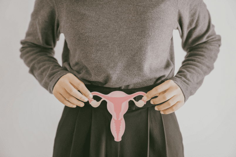 Woman Hands Holding Female Uterus - NU Fertility