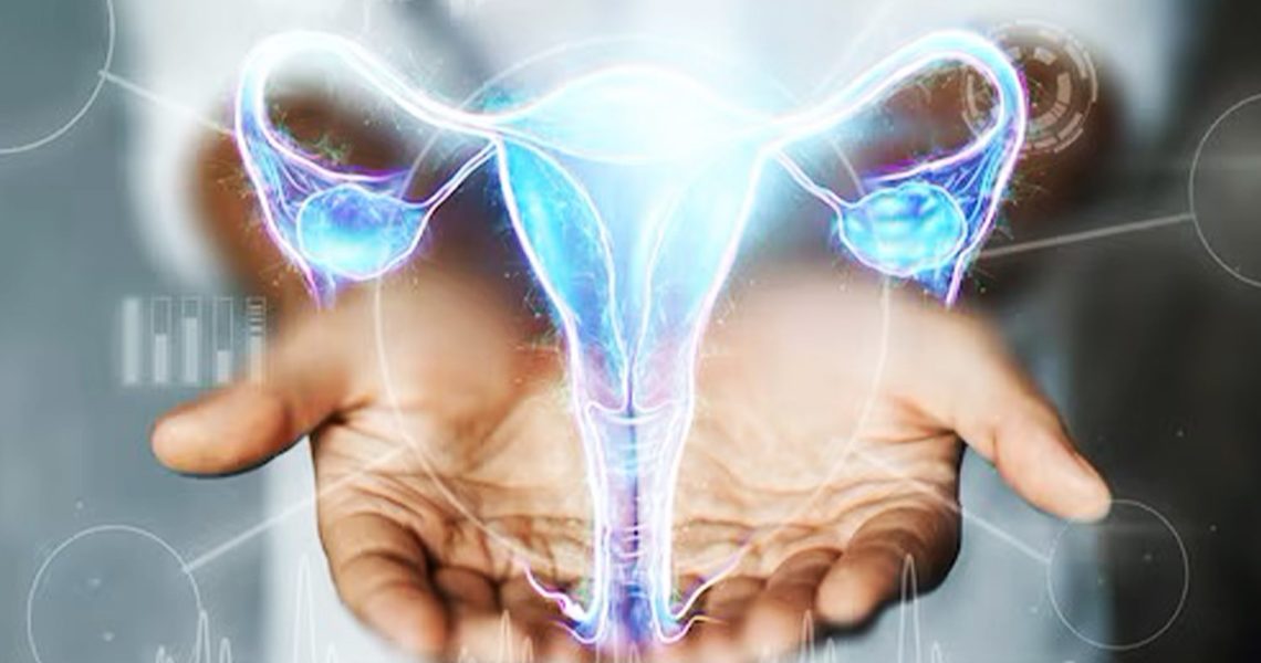 Anatomy of Ovarian Cyst - NU Fertility