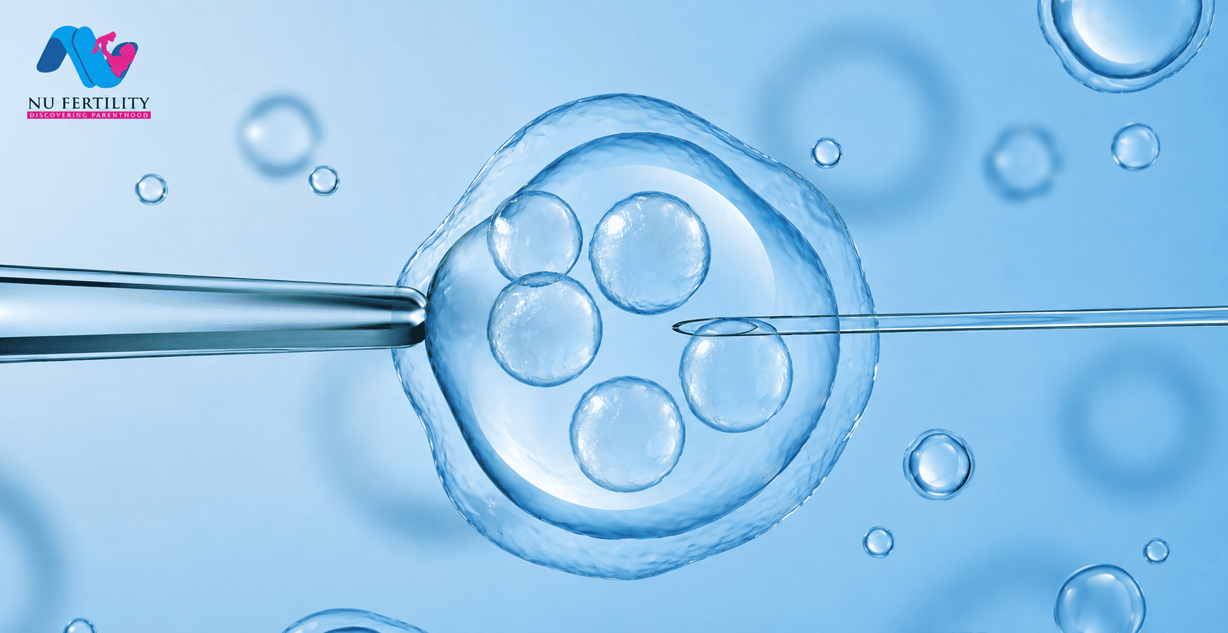 Brief History of IVF